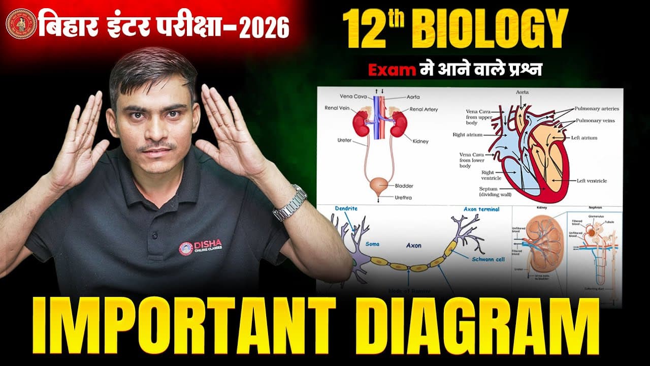 बिहार इंटर परीक्षा 2026: 10 सबसे महत्वपूर्ण डायग्राम!